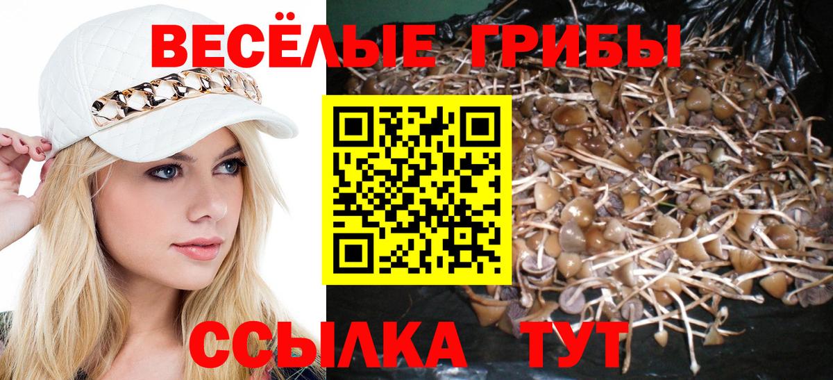 Родники  Псилоцибиновые грибы мицелий  Вход с VPN 