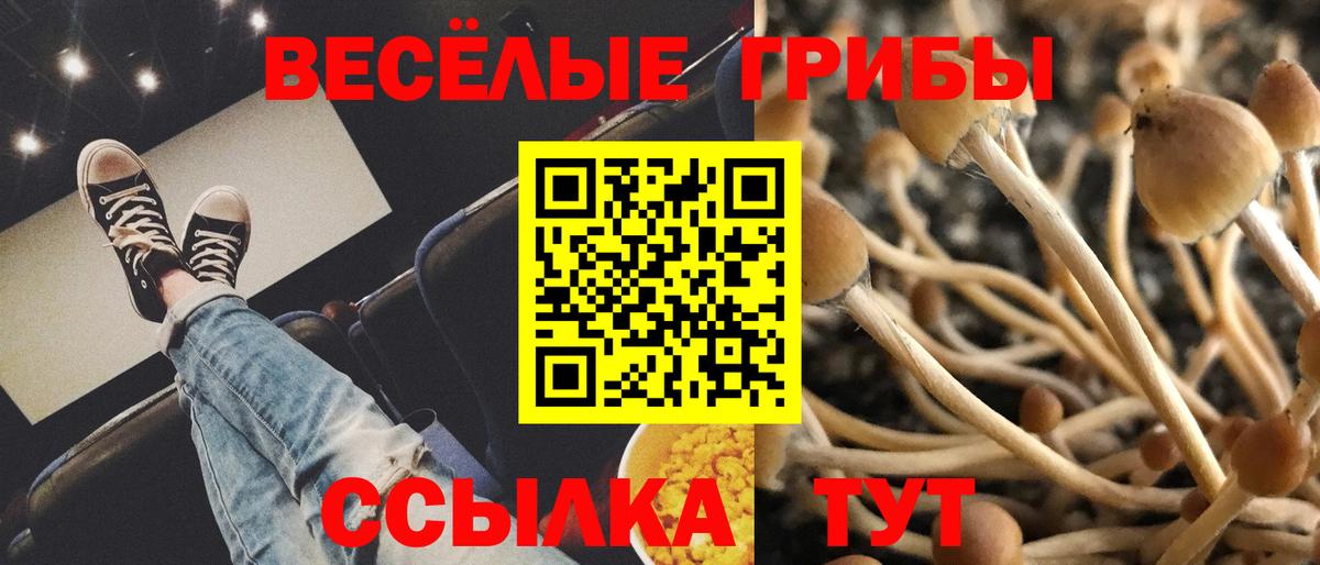 Псилоцибиновые грибы GOLDEN TEACHER Родники